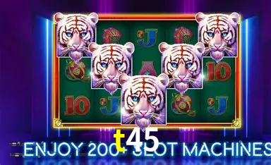 Login Seguro t45