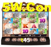 t45.com